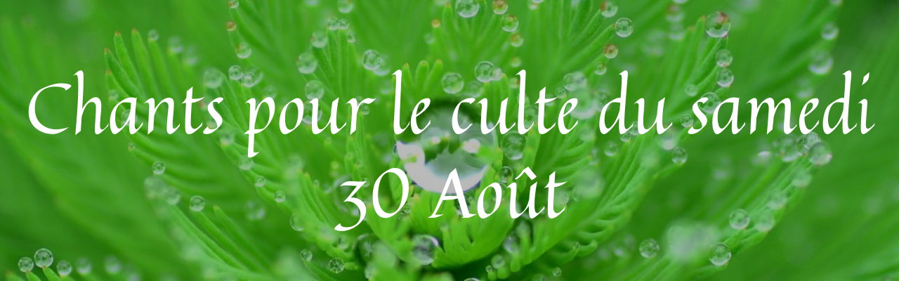 A banner