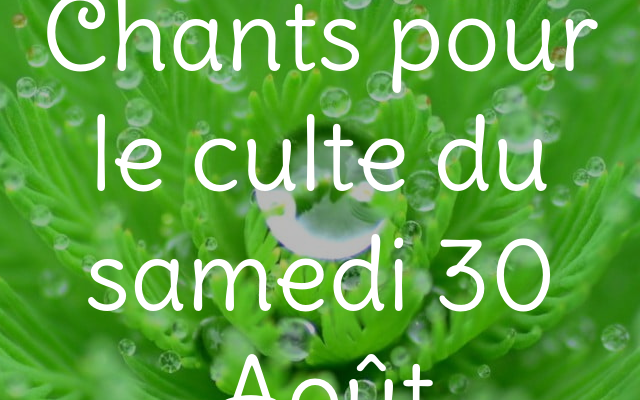 A banner